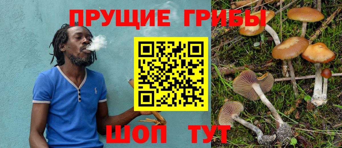 Псилоцибиновые грибы Magic Shrooms Бирск